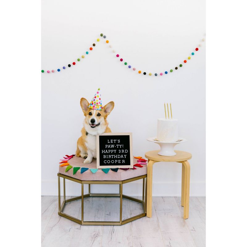 Pearhead Pet Letterboard Set - Black