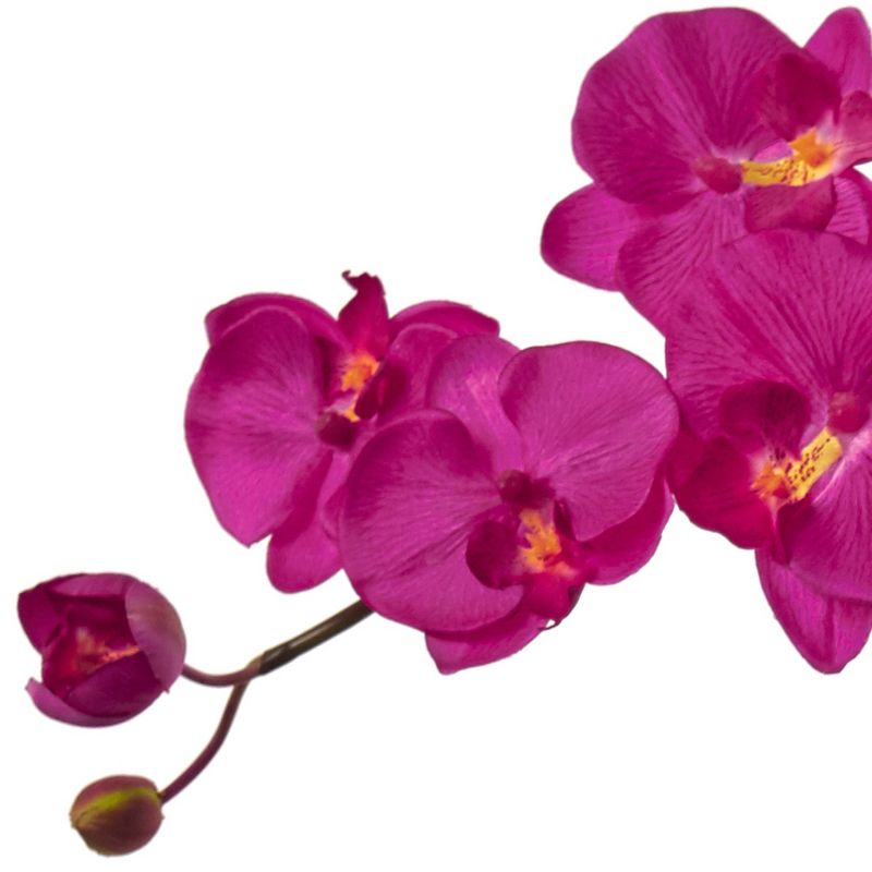 Phalaenopsis Orchid Silk Arrangement with Sand Colored Bowl - Nearly Natural