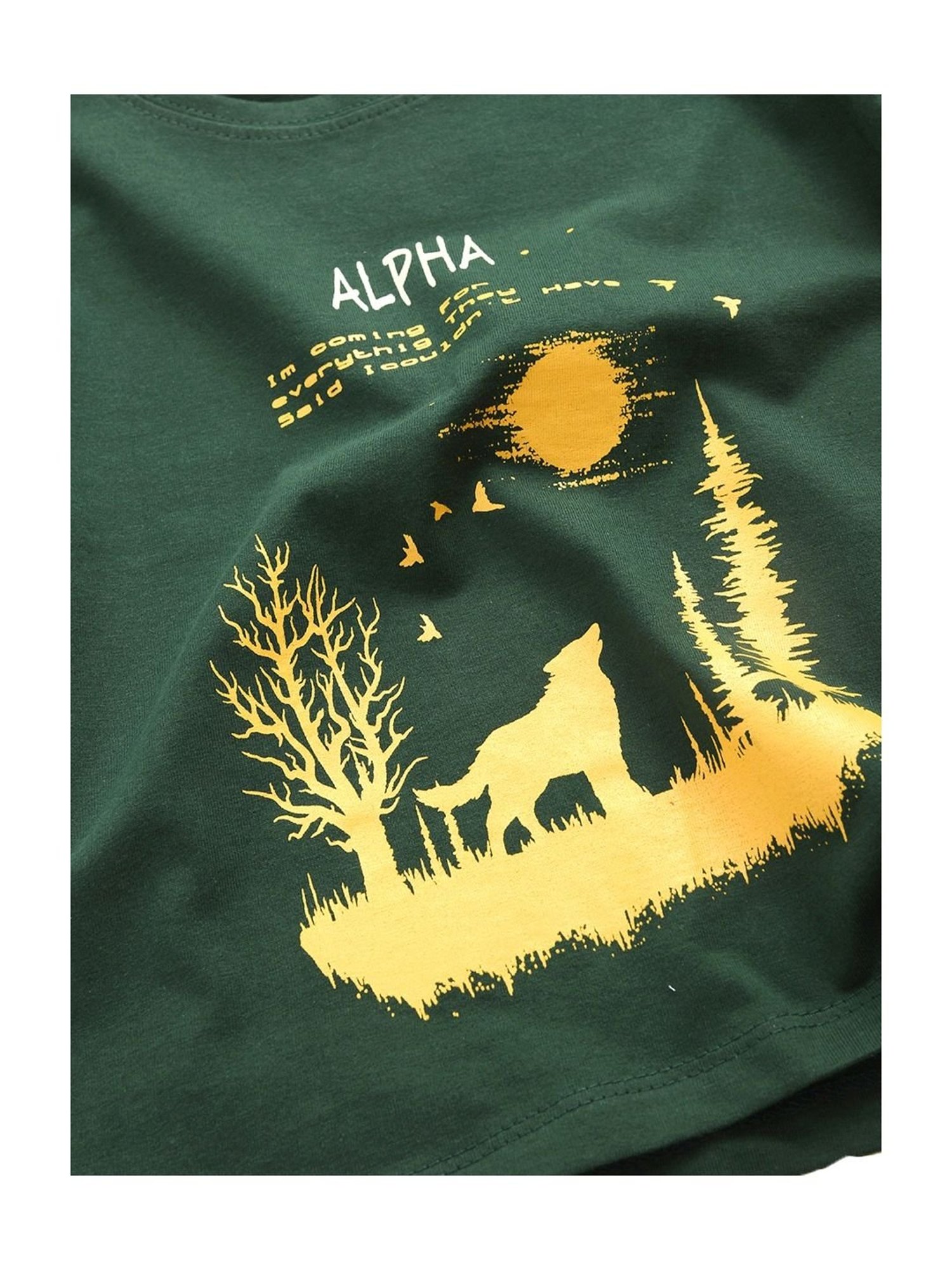 Kids Craft Bottle Green Cotton Printed T-Shirt & Shorts