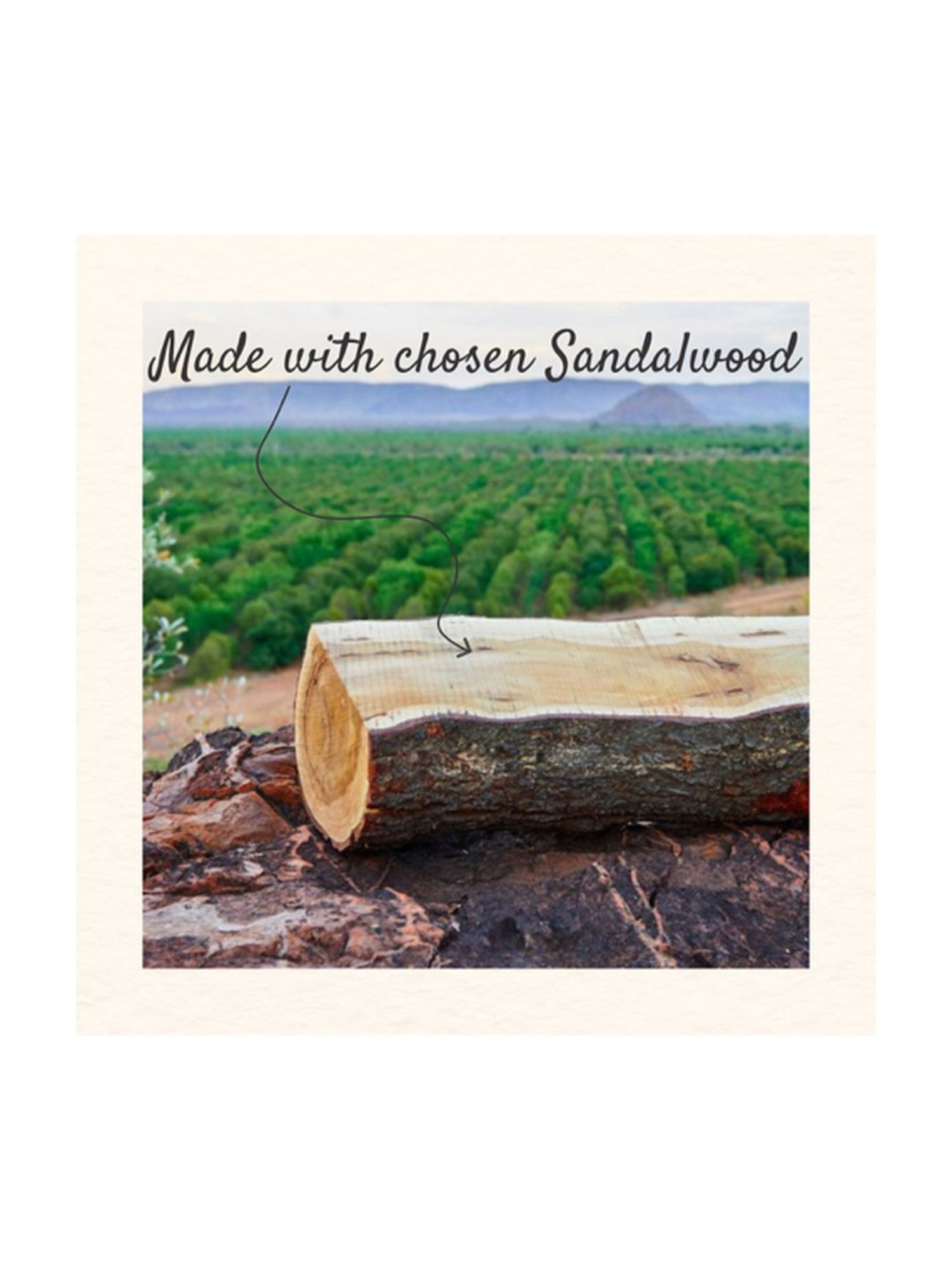 The Paradise Tree Mysore Sandalwood Shower Gel - 325 ml