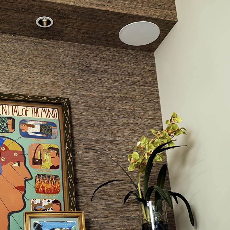 R-2650-CSM II In-Ceiling Speaker - White (Each)