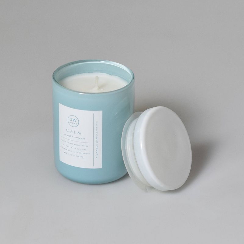 4oz Wellness Spa/Calm Sea Salt and Bergamot Candle - DW Home