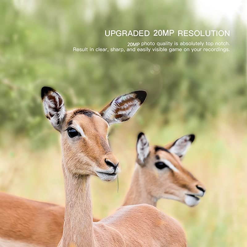 Trail Camera 20MP 1080P Wildlife Camera, Night Detection Game Camera with No Glow 940nm IR LEDs, Time Lapse, Timer, IP66 Waterproof Design