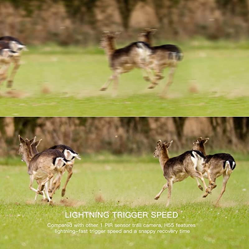 Trail Camera 20MP 1080P Wildlife Camera, Night Detection Game Camera with No Glow 940nm IR LEDs, Time Lapse, Timer, IP66 Waterproof Design