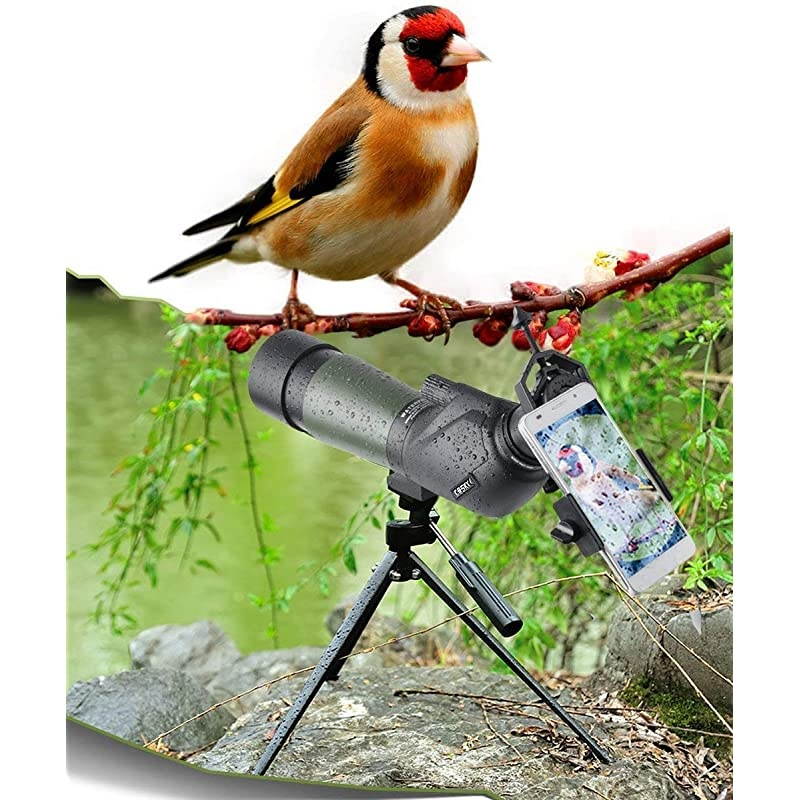2060x60 HD Spotting Scope with Tripod Carrying Bag and Scope Phone Adapter BAK4 45 Degree Angled Eyepiece Telescope  Shooting Hunting Bird Watching Wildlife Scenery