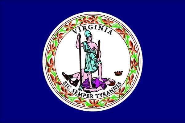 NYLGLO 145660 Virginia State Flag,3x5 Ft