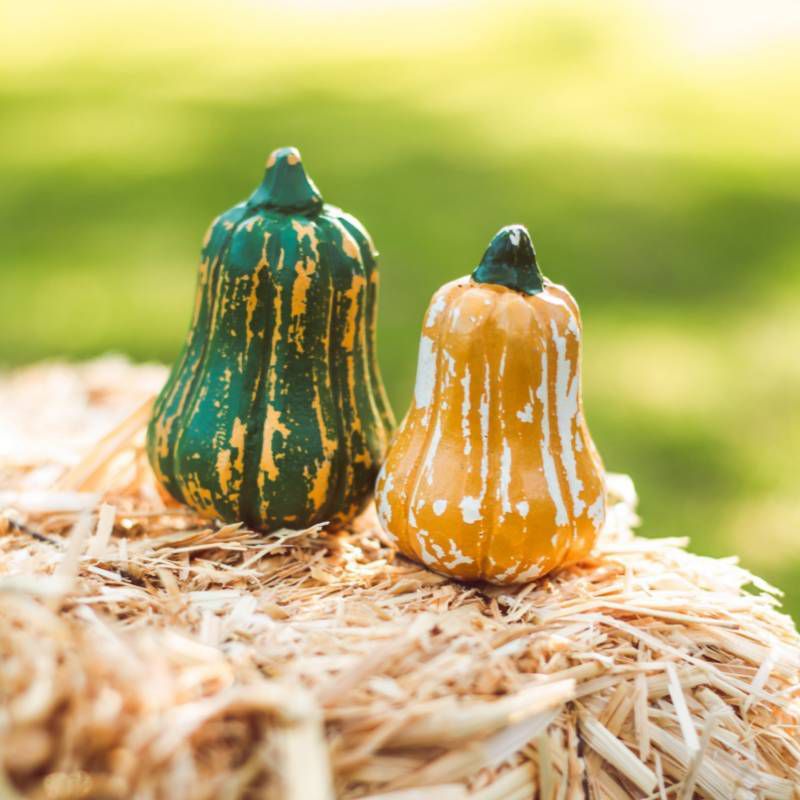 The Queen's Treasures 18 Inch Doll Farm Fresh Kitchen Food Accessory, Set of 2 Gourds Veggie Crate