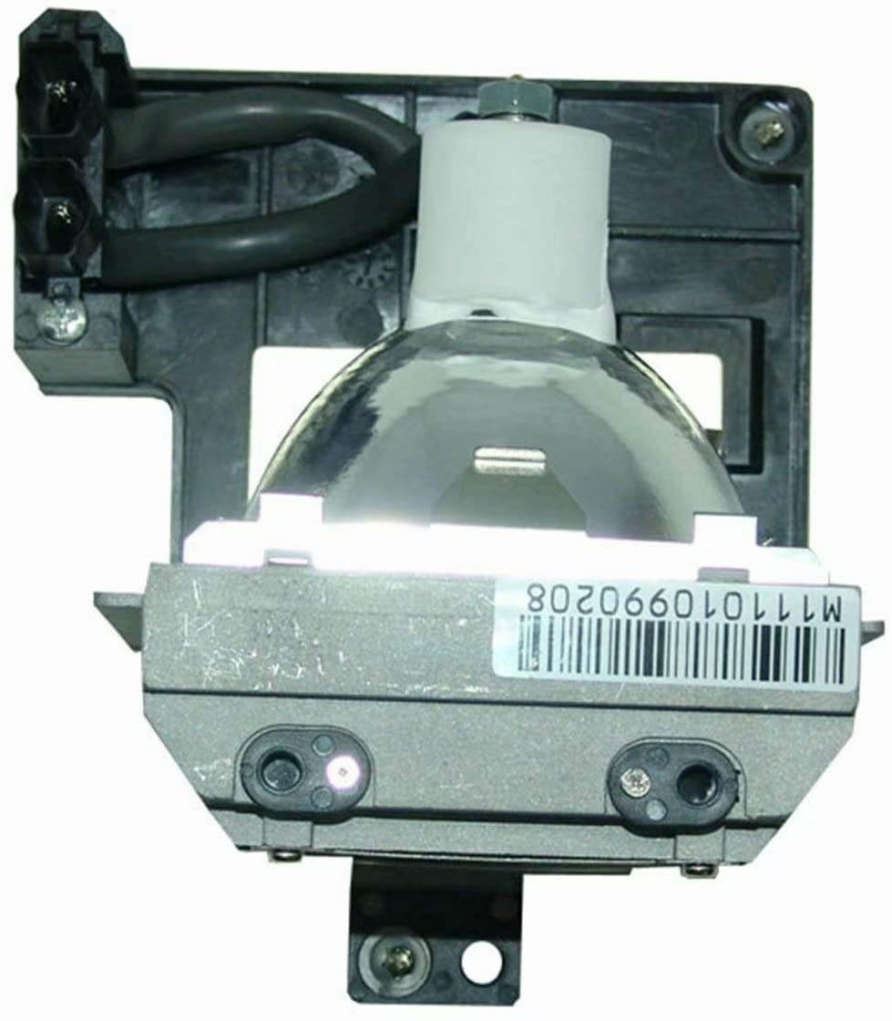 OMAIC Projector Lamp Bulb for Epson ELPLP67/ V13H010L67 Home Cinema PowerLite 500 707 710HD 750HD, W12 S12 EX5210 EX7210 EX3210 EX3212 VS210 VS220 X12 Replacement Projector Lamp/Bulb