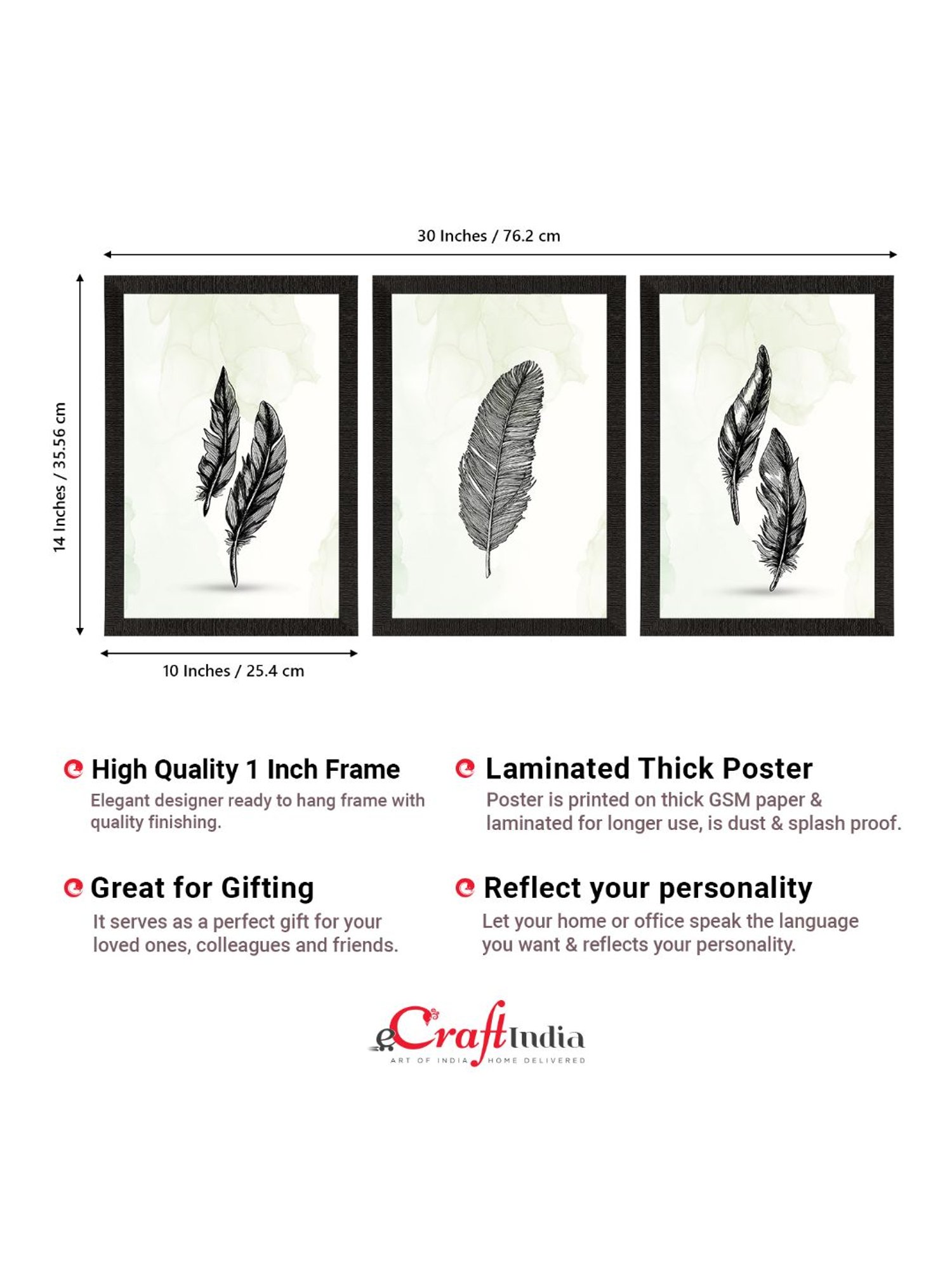 eCraftIndia Feather Line Art Set of 3 Satin Matt Texture UV Art Painting