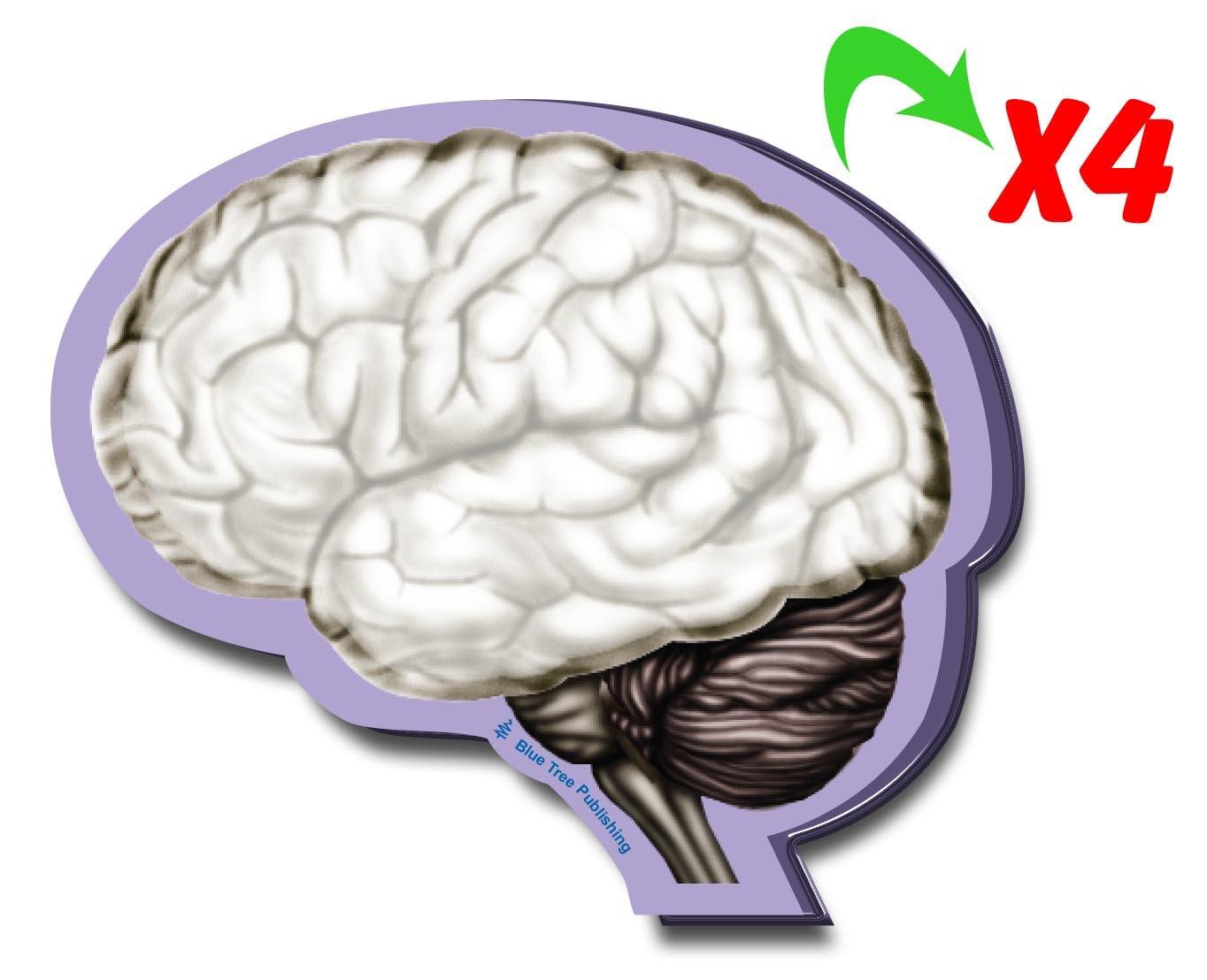 Brain Sticky Notes, 4 Packs-100 Sheets Per Pack