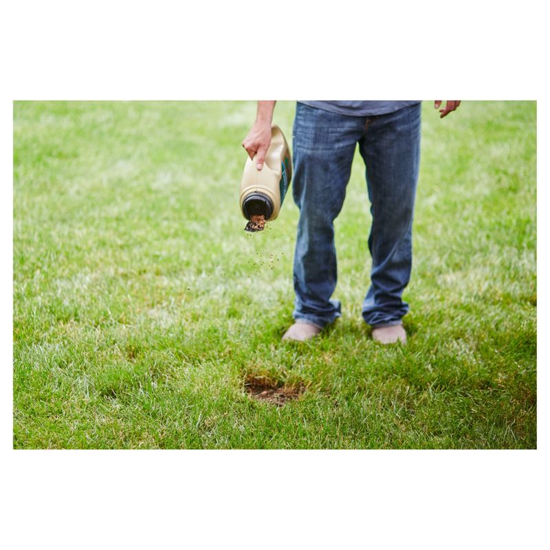 Scotts EZ Seed Tall Fescue 10lb