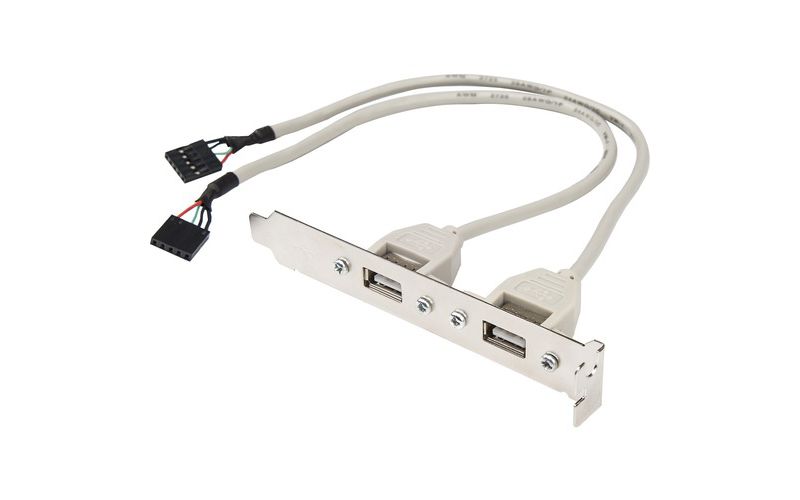 ROCSTORAGE INC. Rocstor Premium 8in 2 Port USB Type A Female Low Profile Slot Plate Adapter - 2 x USB Type A Female