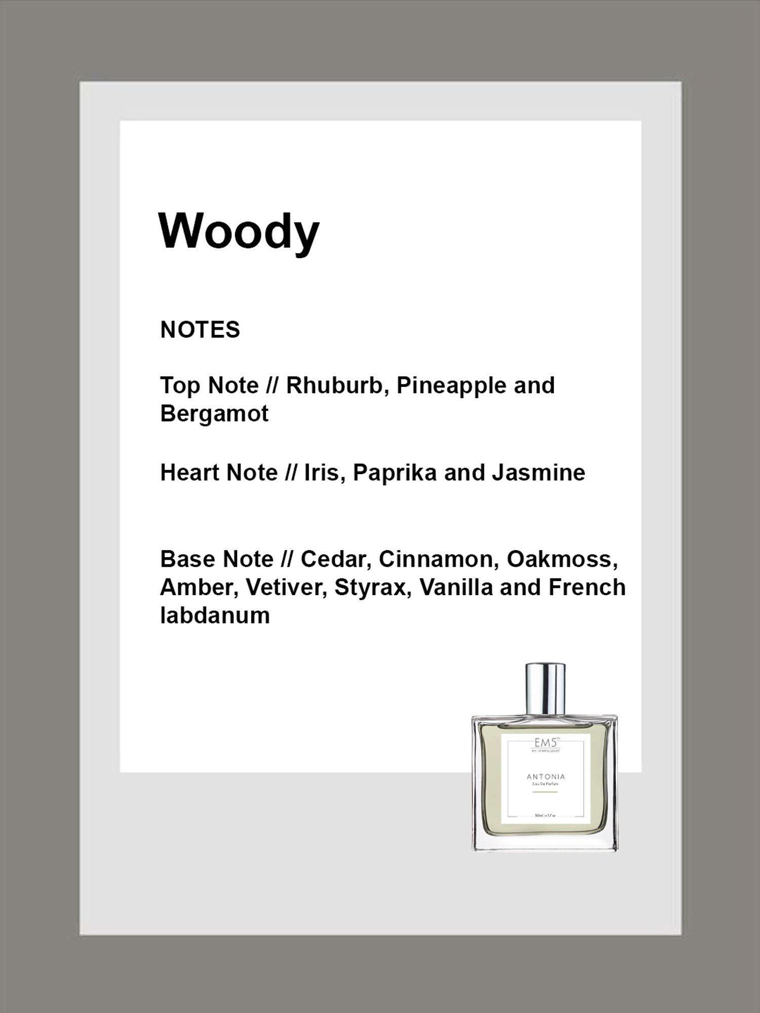 EM5 Antonia Eau de Parfum for Men - 50 ml