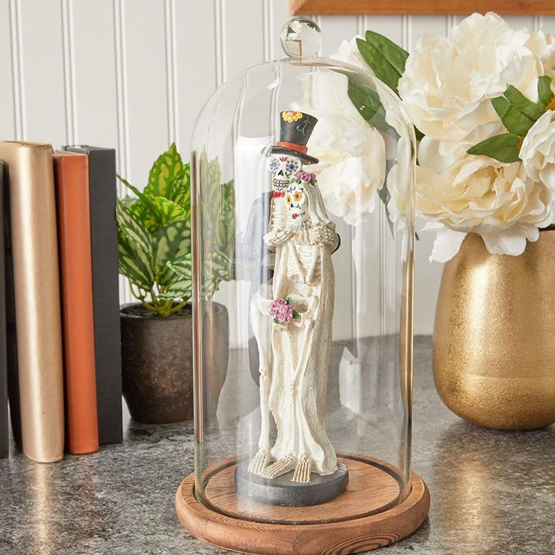 Farmlyn Creek Bell Glass Cloche Dome for Plants, Food, and Candles, Arts and Crafts (5.1 x 5.1 x 10 In)