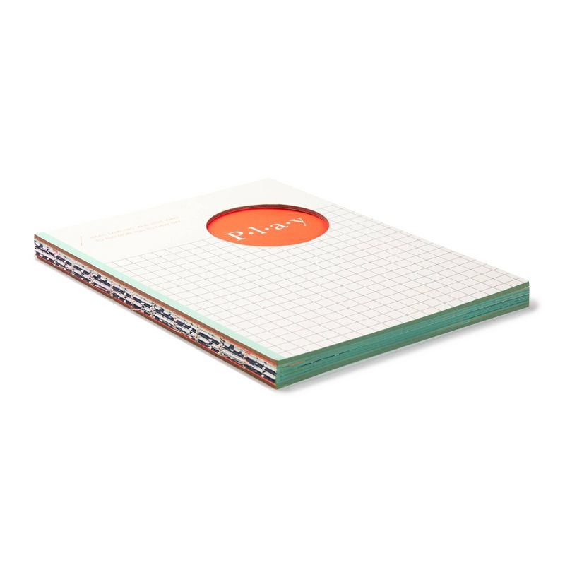 Play Activity Book: Ideas, Exercises and Little Ways to Add More Fun to Every Day