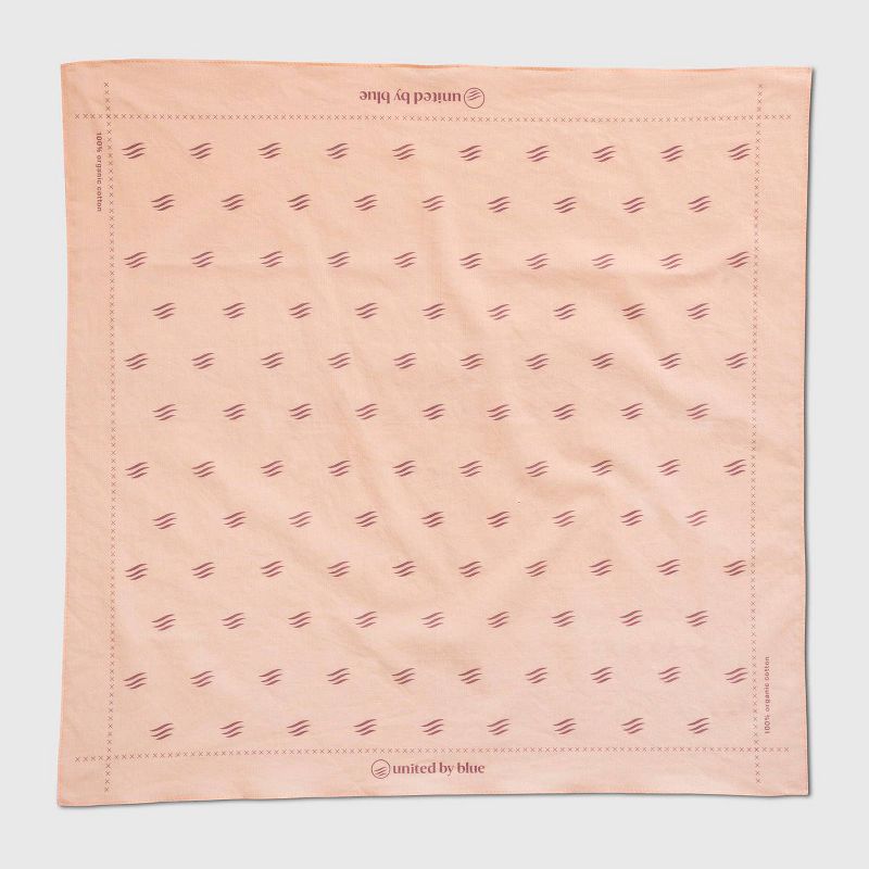 Adult 3pk Be Kind Cloth Mask