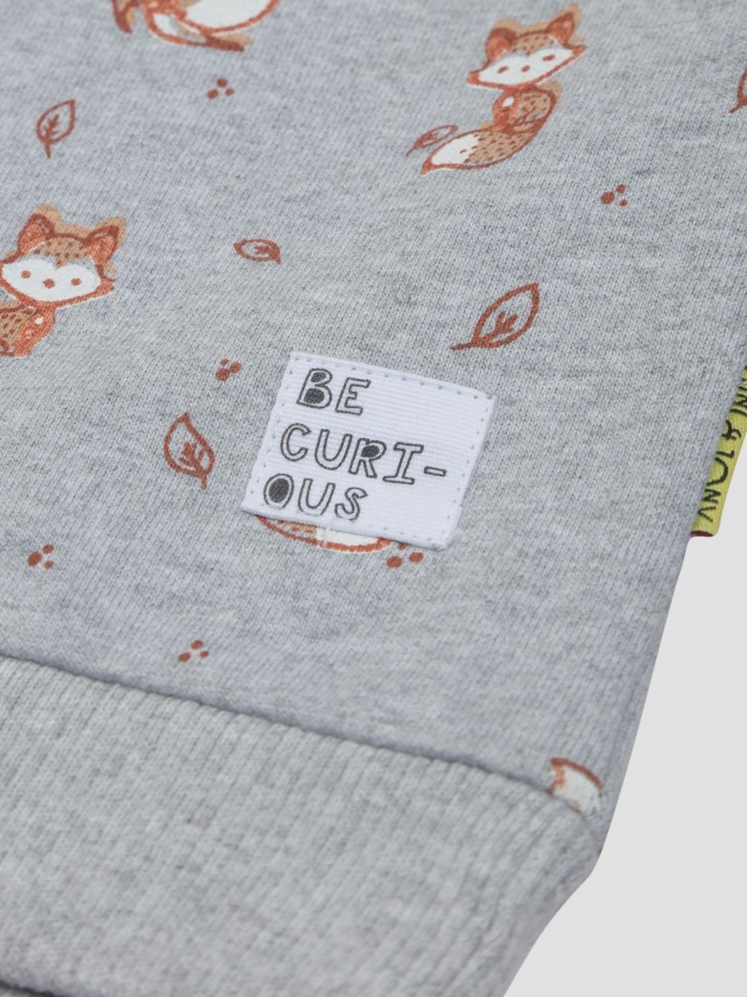 GJ baby Kids Grey Printed Full Sleeves Sweatshirt Set