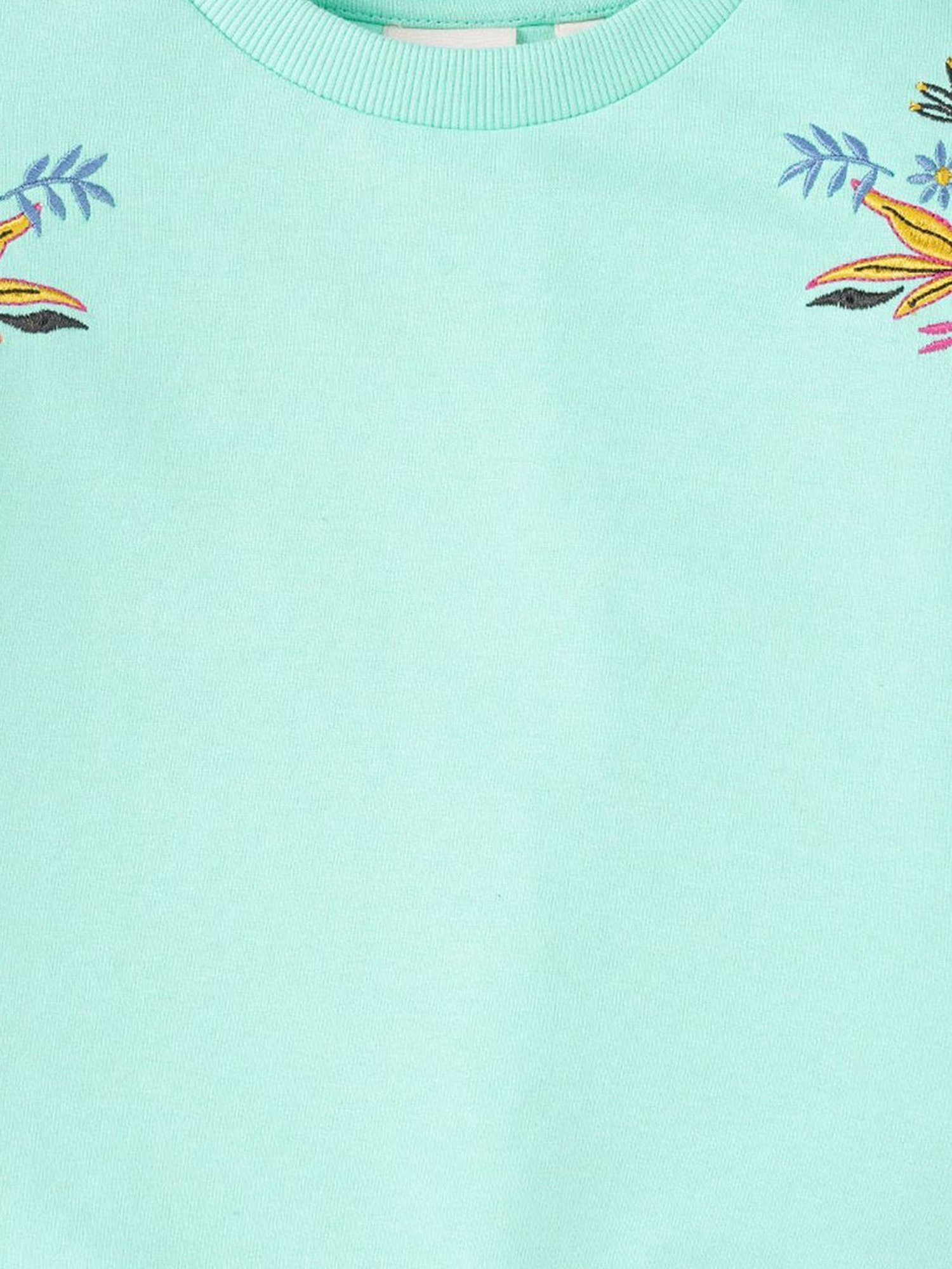 Ed-a-Mamma Kids Green Cotton Embroidered Full Sleeves Sweatshirt