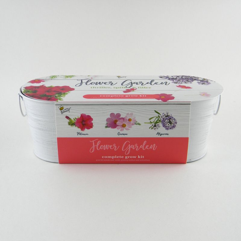 Windowsill Whitewash Flowers - Buzzy