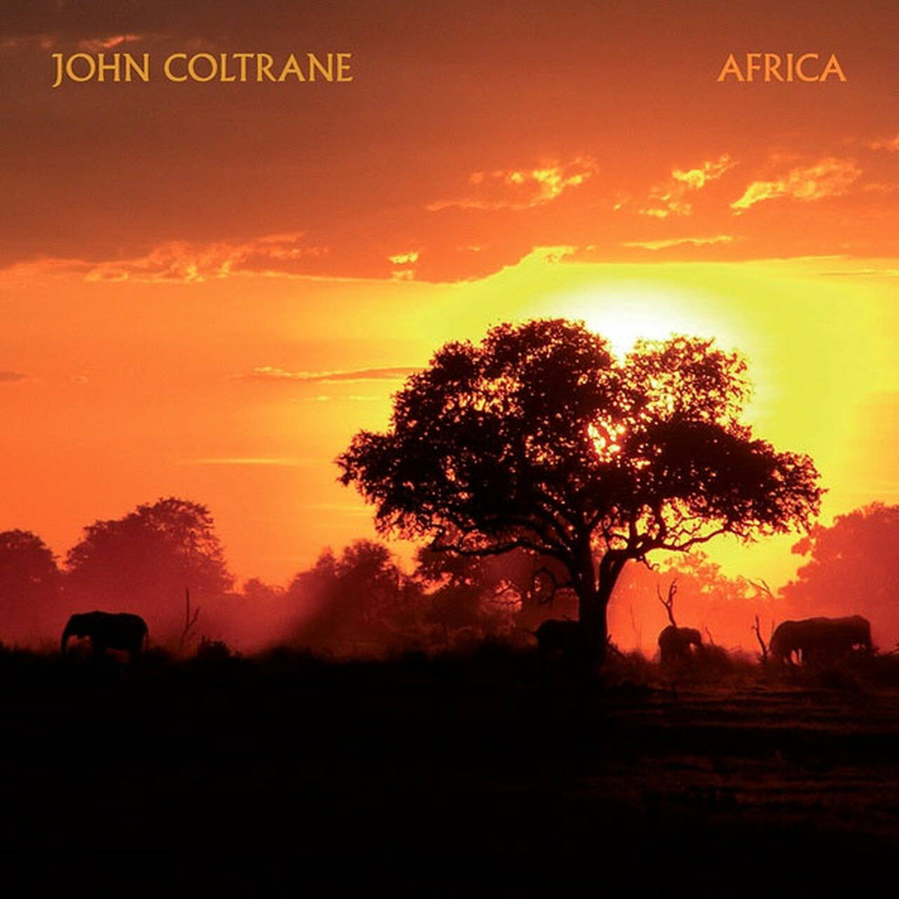 John Coltrane Africa Import LP (Vinyl)