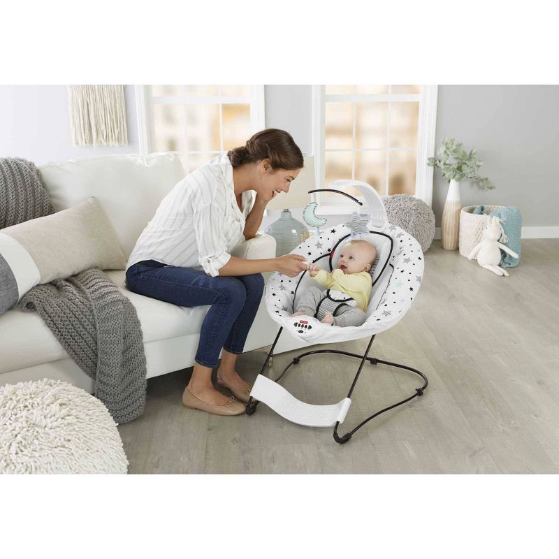 ​Fisher-Price Baby Bouncer
