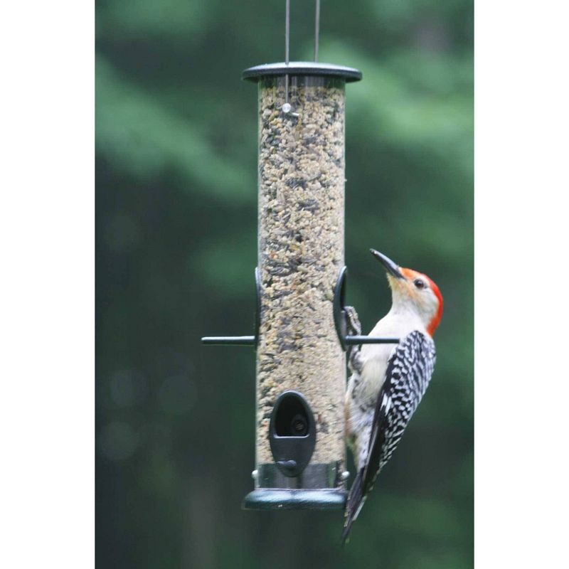 Birds Choice 3 Cup 4 Port Tube Bird Feeder