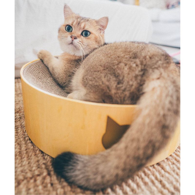 PETKIT Flying Fish Cat Scratcher - White/Blue