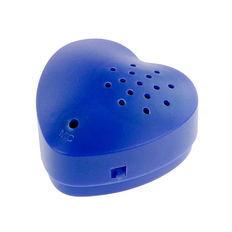 Nanny Bulb Camcorder Discrete Voice Recorder + Infrared w/ 28GB MicroSD