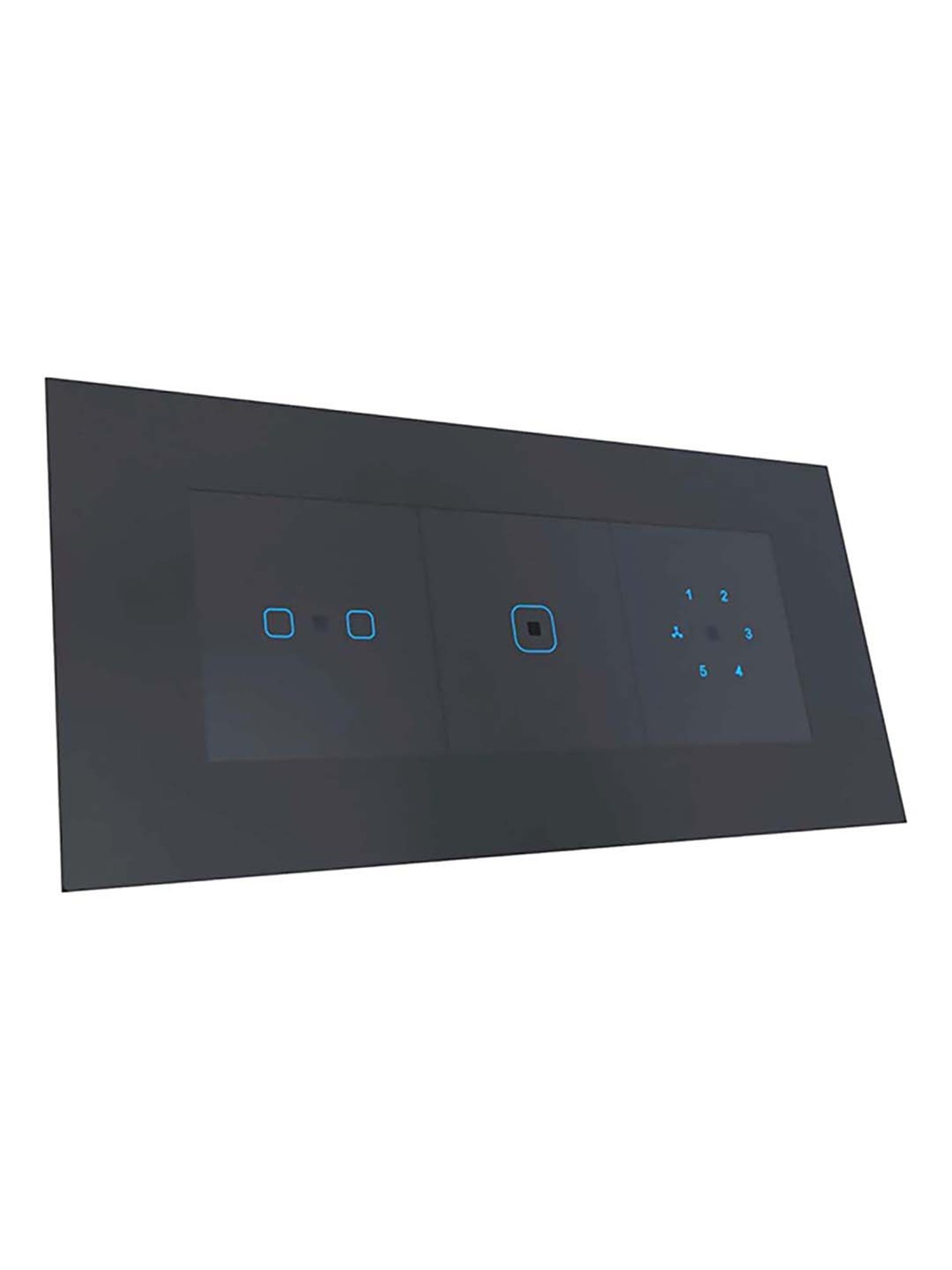 HomeMate 24A Smart Touch Switch Works with Google Assistant and Alexa (Black)