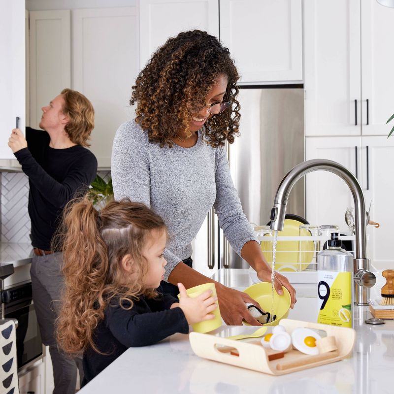 9 Elements Liquid Dish Soap - Eucalyptus - 16 fl oz