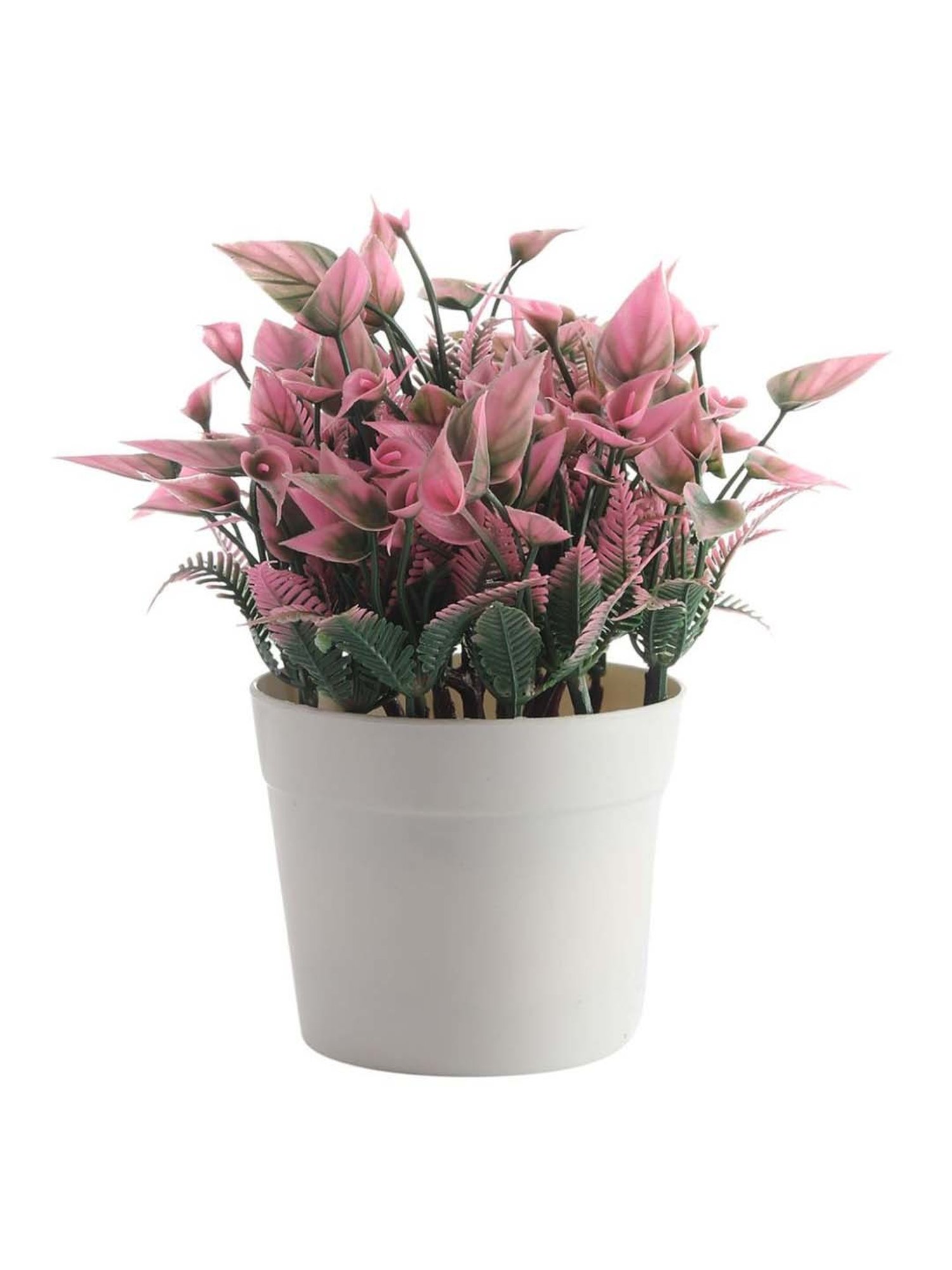 Foliyaj Multicolor Plastic Artificial Plant - Set of 2