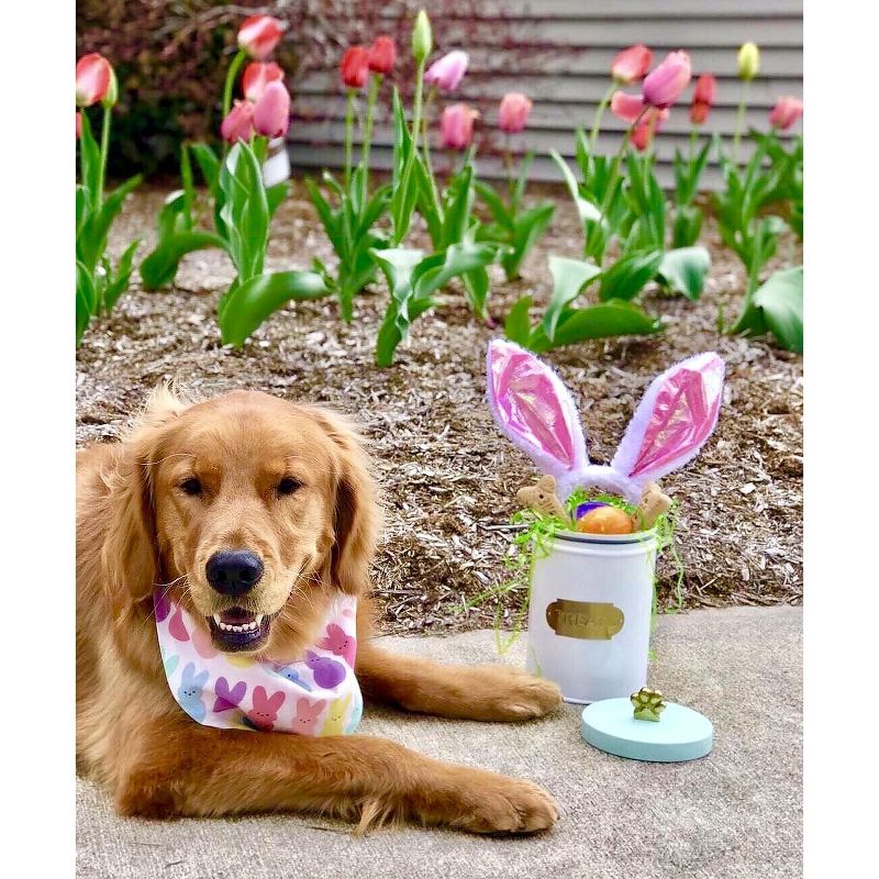 Amici Pet Bentley 54 oz Metal Treats Canister White/Mint, Single Container