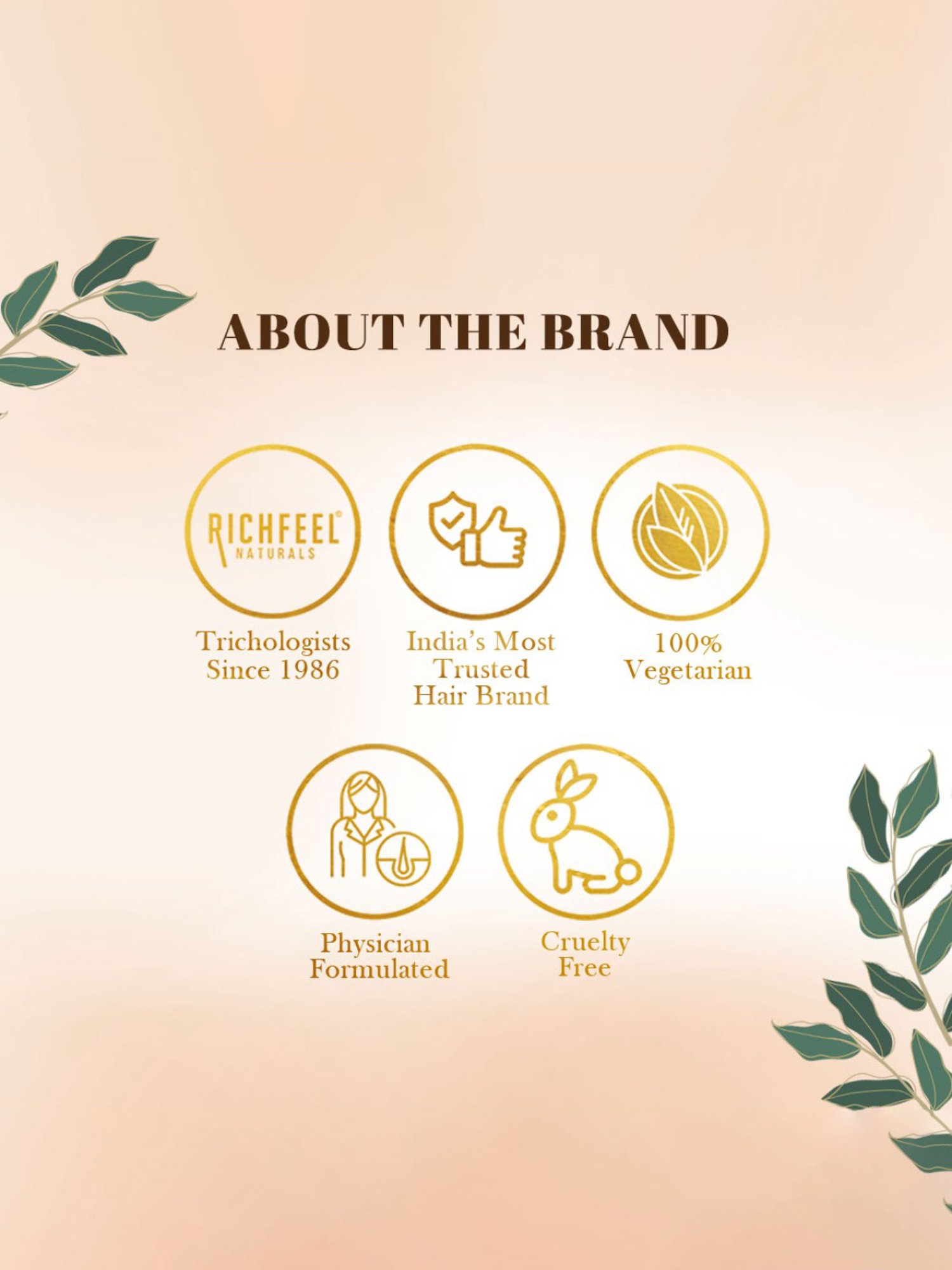 Richfeel Hair Root Nourisher - Pack of 4