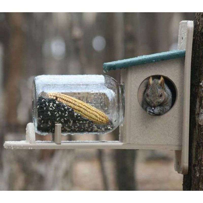 Birds Choice Squirrel Jar Feeder