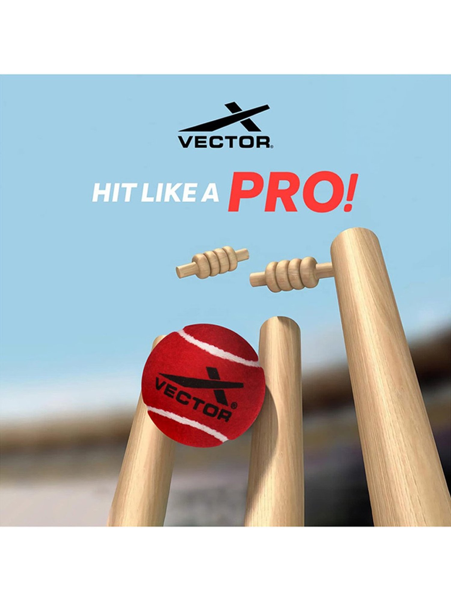 Vector X Pack of 6 Cricket Tennis Balls (Red) Size - Standard