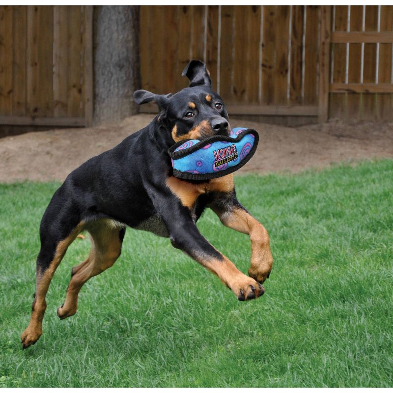 KONG Ballistic Football Dog Toy - Colors May Vary - L