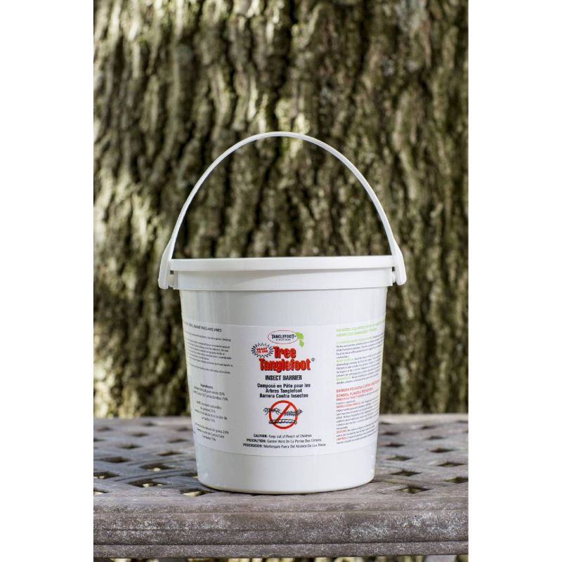 Tanglefoot Tree Insect Barrier - 5lb