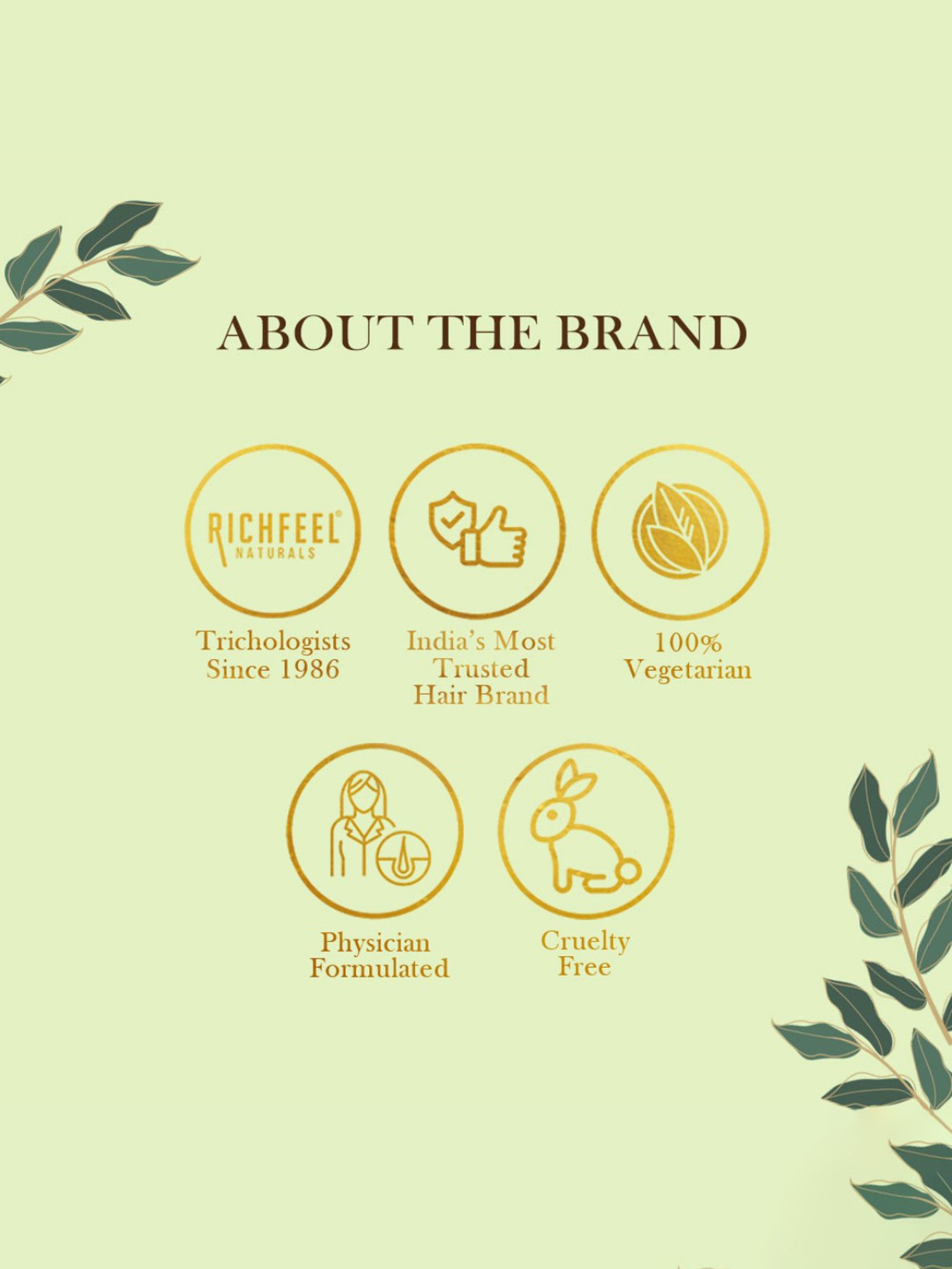 Richfeel Vitamin E++ Skin Oil - Pack of 3