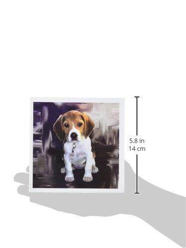 3dRose Beagle - Greeting Cards, 6 x 6 inches, set of 12 (gc_4021_2)