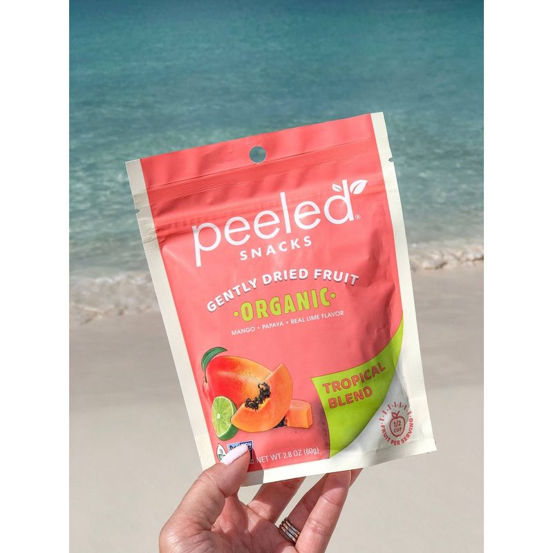 Organic Dried Unsweetened Tropical Blend - Banana, Mango & Pineapple - 4oz - Good & Gather™