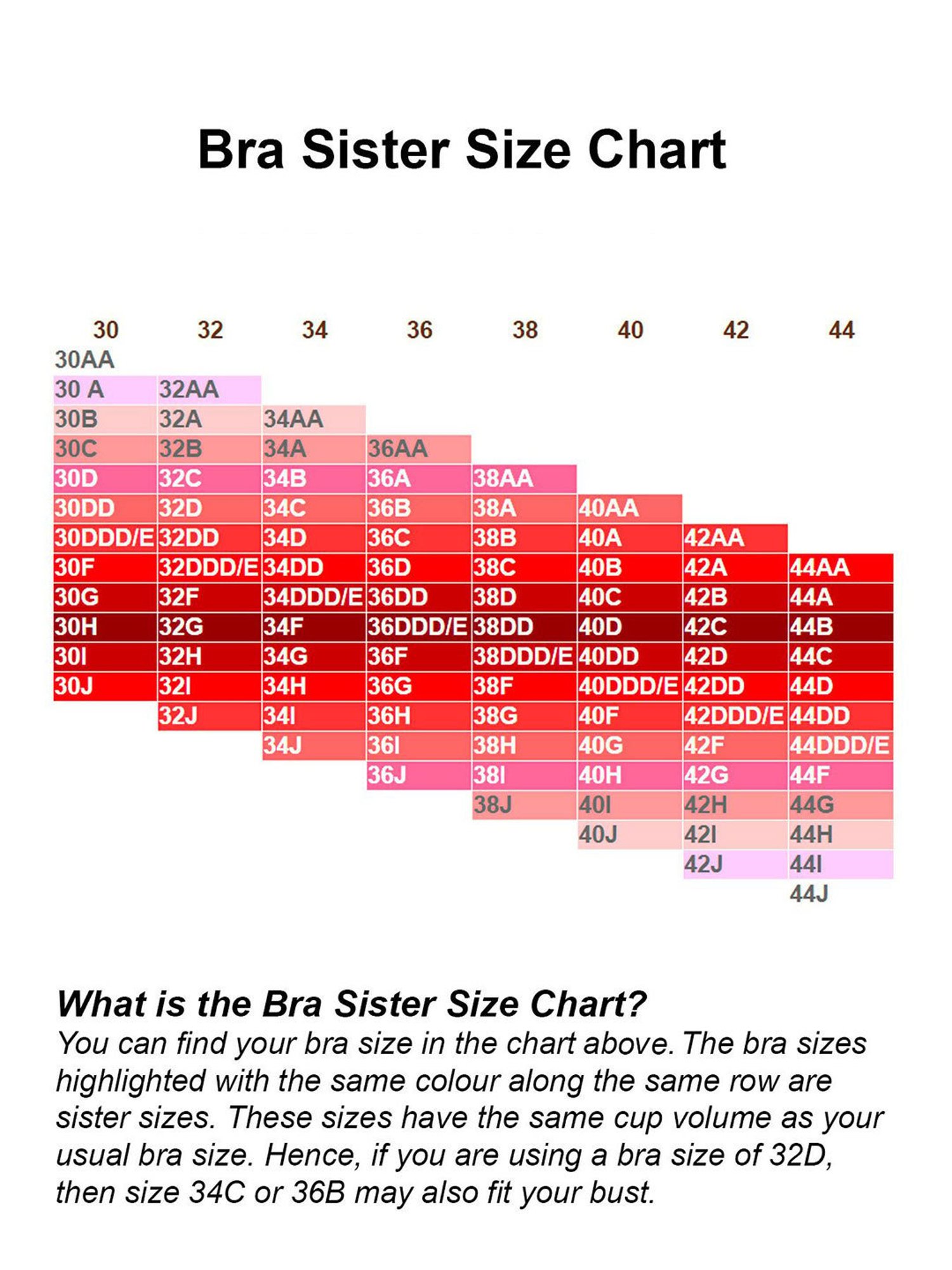 Leading Lady Purple Non-Padded Sports Bra