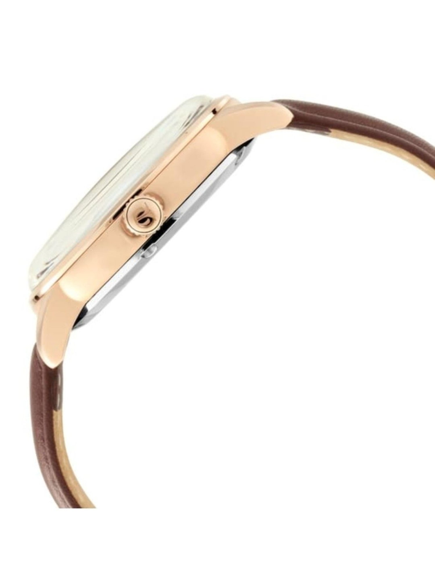 Titan NS90110WL02 Analog Watch for Men