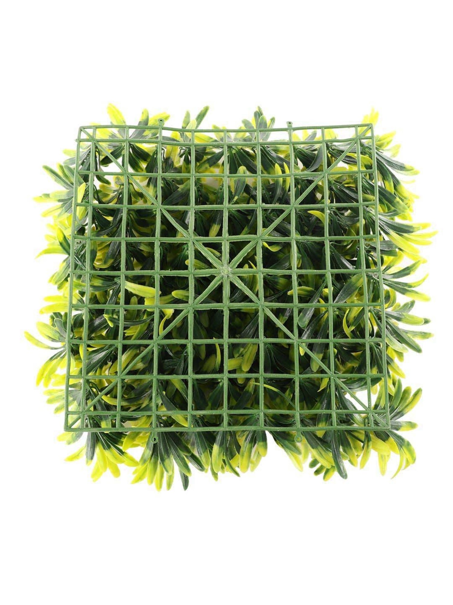 Foliyaj Green Plastic Wall Mat Model
