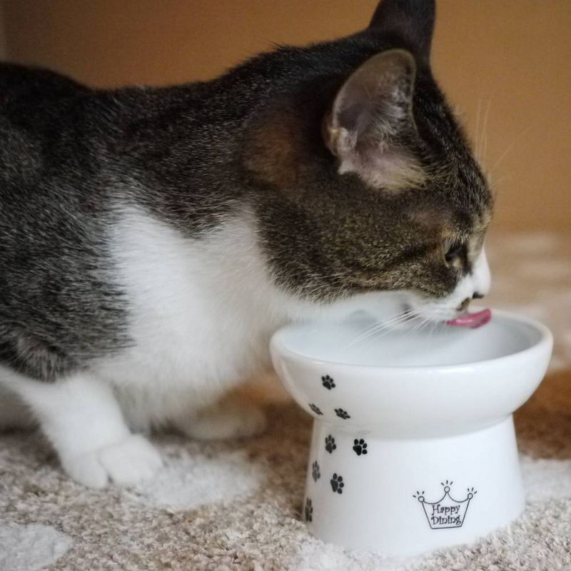 Necoichi Raised Cat Food Bowl