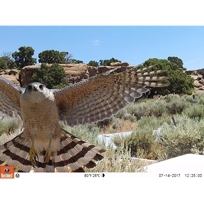 16MP Trophy Cam HD Essential E3 Trail Camera Brown