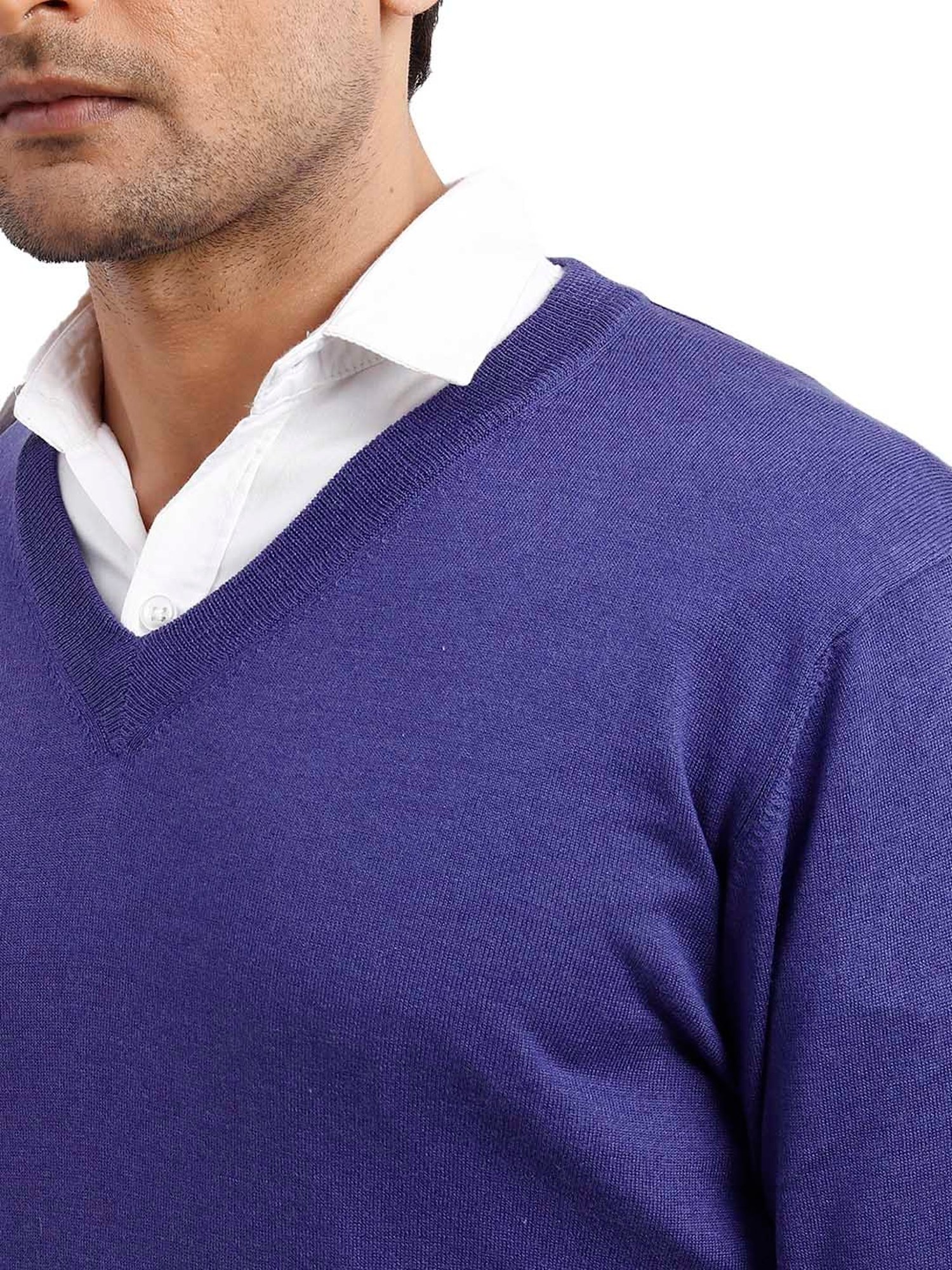 ColorPlus Indigo Blue Regular Fit V Neck Sweater
