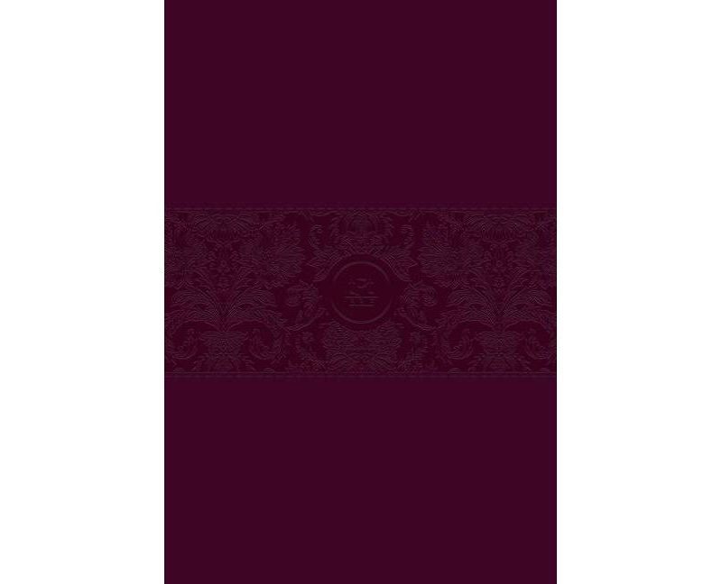 The Passion Translation New Testament (2020 Edition) Large Print Burgundy - by  Brian Simmons (Leather Bound)