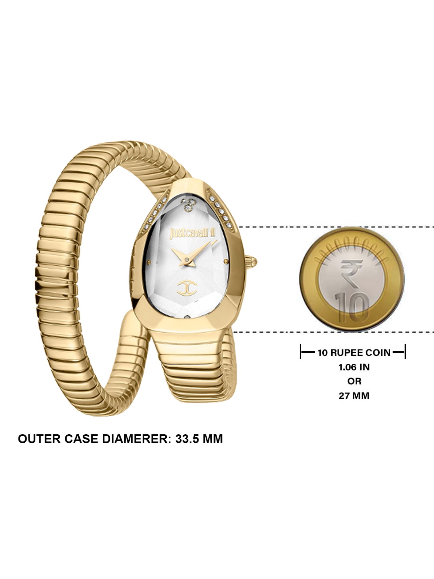 JUST CAVALLI JC1L208M0035 Analog Watch for Women