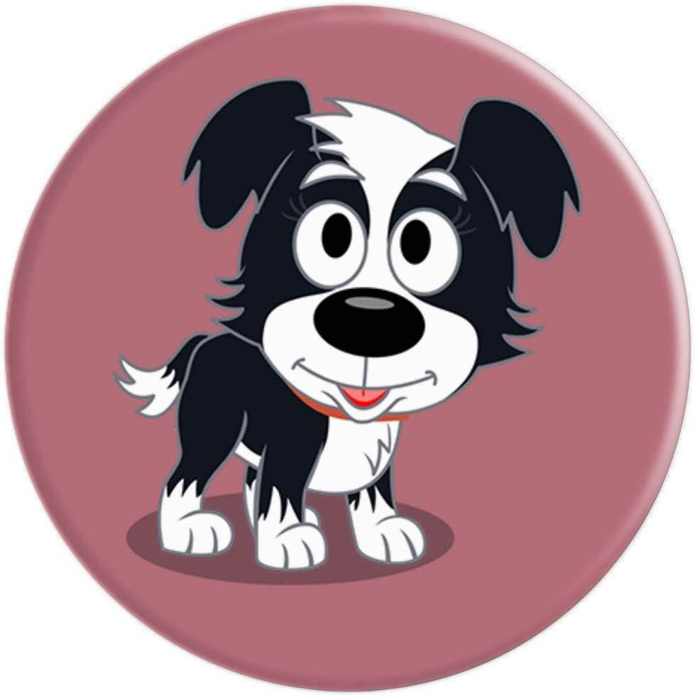 Cute Border Collie Cute Face