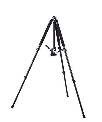Slik Pro 700DX Tripod With Pan and Tilt Head (Black) 615-316